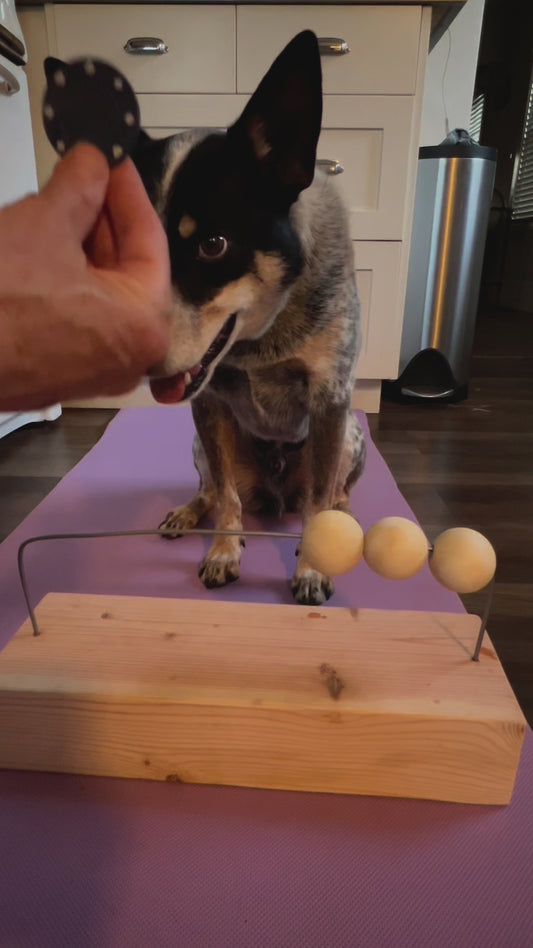 Abacus for Canine Counting