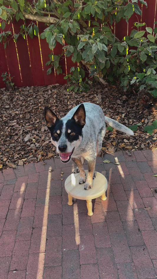 The Pup Perch